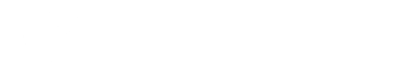 BV2SHOP Logo